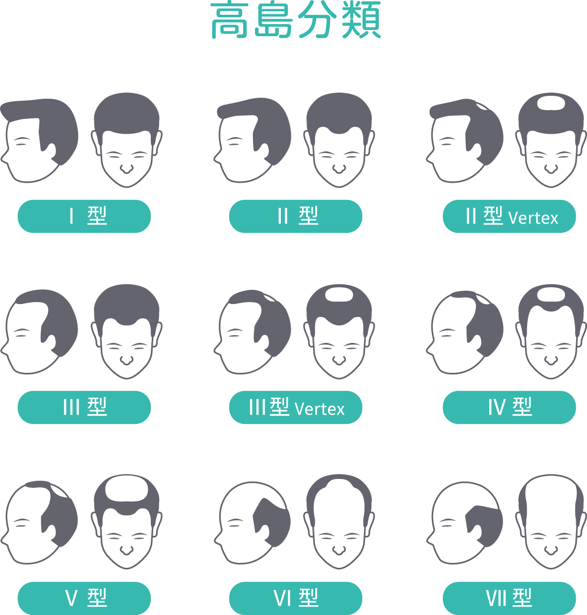 毛周期・毛髪サイクル